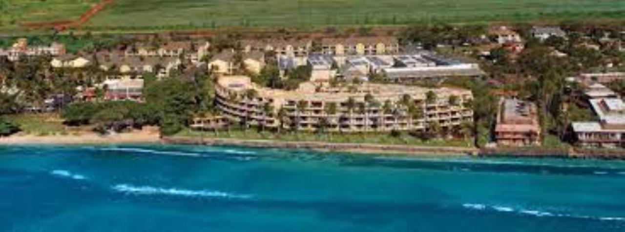 شقة Stunning Sunsets And Oceanview'S At Paki Maui لاهينا المظهر الخارجي الصورة